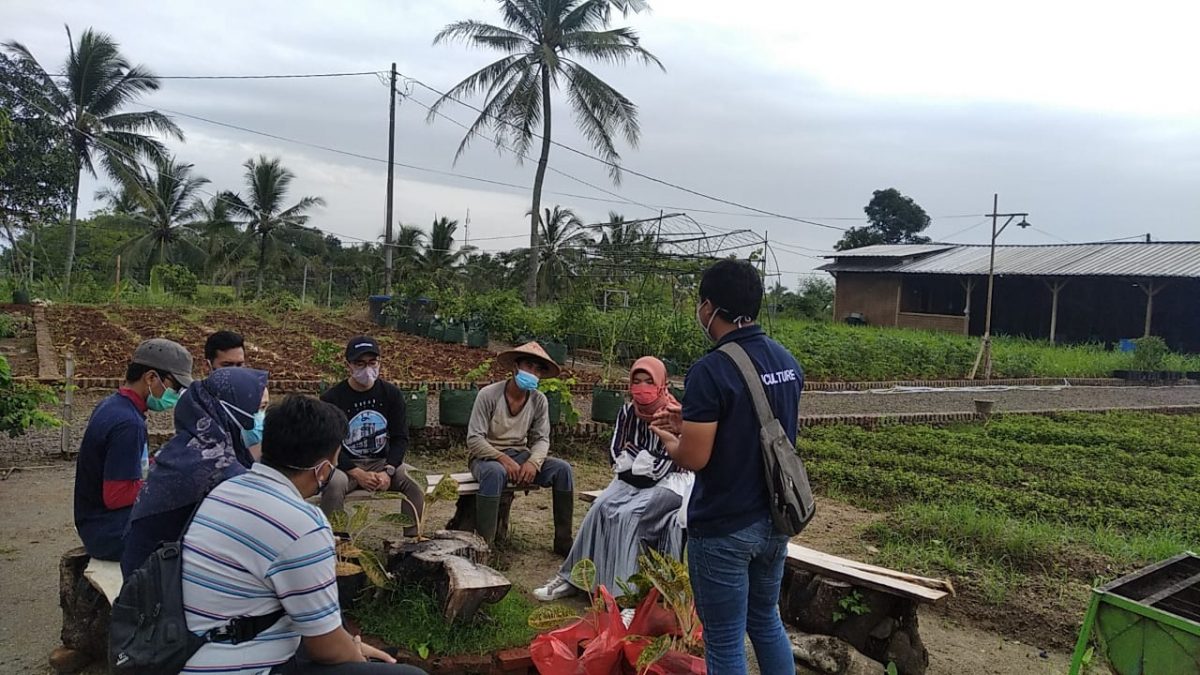 PRIVATE CLASS AGLONEMA