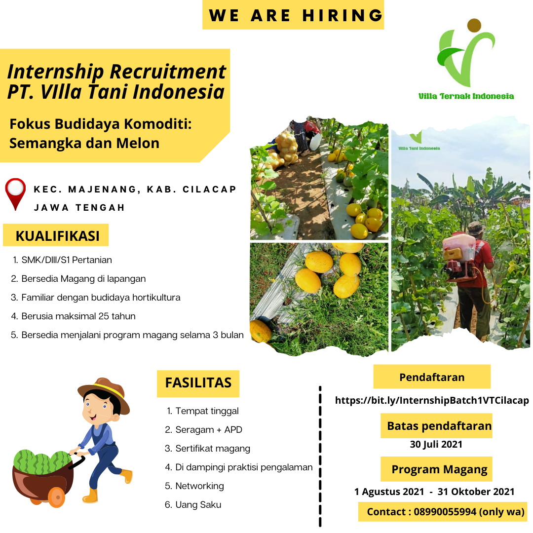 We Are Hiring! Internship Recruitment PT. Villa Tani Indonesia