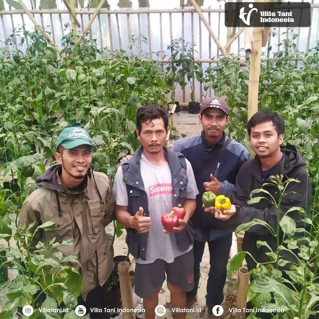 Komitmen Villa Tani untuk bertumbuh bersama petani